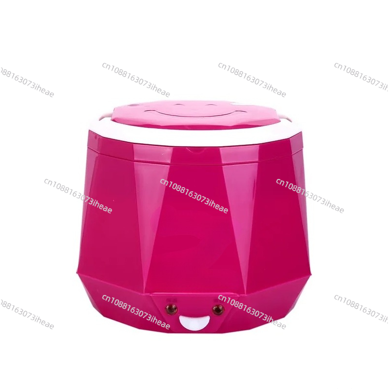 DC12V/DC24V/AC220V 100W POWER  - đánh giá và giá Rice Cooker